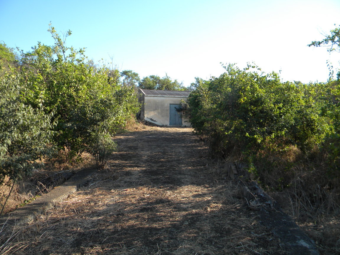 DSCN8058 .JPG